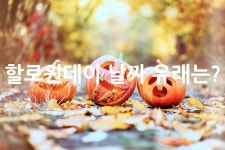 할로윈데이 날짜 유래는? - 위즐
