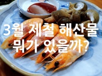 3월 제철 해산물 뭐가 있을까? - 위즐