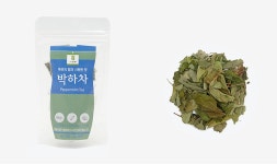 텐바이텐 10X10 : [자연애] 텀블러 5종 묶음세트/텀블러증정 이벤트마감