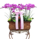 우리들의 오픈마켓 - 위핑