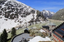 풀베개 : 인터넷식물도감 - 그동안 강녕들 하셨는지요 ?