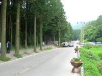 기차타고 떠나는 남도여행 - 전라도 편(스압)