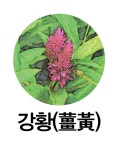 함부로 먹지 마세요(上) 과용하면 중장년 건강 해치는 약재 5가지 이것 함부로 먹지 마세요(上) 과용하면 중장년 건강 해치는 약재 5가지
