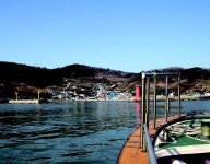 서울시 50플러스포털 [50+포탈]야생화의 천국, 풍도(춘풍에 변산바람꽃 방긋 웃네) 야생화의 천국, 풍도(춘풍에 변산바람꽃 방긋 웃네)