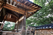 서울시 50플러스포털 [50+포탈]꼿꼿한 조선 선비, 솔숲 속 정자에 묻혀 쓰고 또 썼으니 꼿꼿한 조선 선비, 솔숲 속 정자에 묻혀 쓰고 또 썼으니
