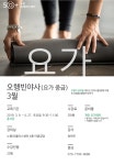 배움 - [노원] - 상세 [문화] 오행빈야사(요가 중급과정)