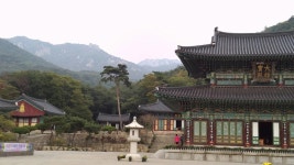 서울시 50플러스포털 [50+포탈][세상구경 2] 오랜 벗들과 함께해서 더욱 풍성했던 월출산 등산과 강진 답사여행① [세상구경 2] 오랜 벗들과...