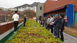 서울시 50플러스포털 [서부]50+친환경 도시농부들의 옥상텃밭 이야기  50+친환경 도시농부들의 옥상텃밭 이야기 