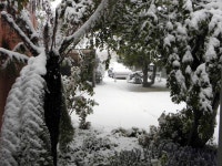 Snow falls on Blackheath - ABC News (Australian Broadcasting Corporation) Snow falls on Blackheath