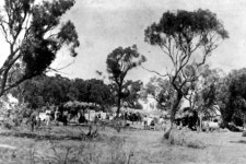Shearers strike 1891 - ABC News (Australian Broadcasting Corporation) Shearers strike 1891