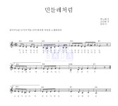 꽃다지 민들레처럼 악보