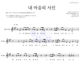 송가인 내 마음의 사진 MR : 악보바다 송가인 내 마음의 사진 악보
