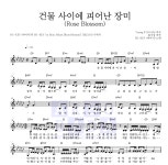 하이키 건물 사이에 피어난 장미 (Rose Blossom) MR : 악보바다 하이키 건물 사이에 피어난 장미 (Rose Blossom) 악보
