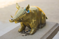 무료이미지 얼라우투 - allowto