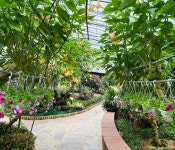 식물원 | 테마속의 어울림 | 체험정보 | 농업교육/체험 | 안동시 농업기술센터