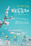 KASIT, &quot;왕벚꽃길 나들이 오세요&quot;… KAIST 벚꽃 축제