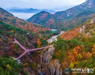 거창항노화힐링랜드, 온라인 사전예약제 운영