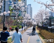 아시아뉴스통신_[아통포토] 벚꽃 만개한 경춘선숲길_박주일 기자_2023-03-31 13:23