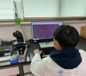 아시아뉴스통신_경상남도 축산연구소, 유통 돼지정액품질검사 실시_장희연 기자_2023-05-09 11:54