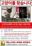 고양이를 찾습니다, 코리아쇼트헤어, 수컷, 2살, 서울특별시 은평구 은평구 응암 1동 이마트 후문 맞은편 CU프로방스점 편의점 부근에서 실종... 