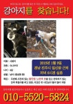강아지를 찾습니다(강아지분실신고), 슈나우저/미니어처슈나우저, 수컷, 4살, 경상남도 진주시 상봉서동 진주여고 사거리 일신탕 앞에서 실종... 