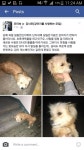 개를 찾습니다, 믹스견, 성별모름, 나이는 잘모름, 경상남도 김해시 김해 외동 일동한신 아파트 단지내에서 실종 개를 찾습니다, 믹스견, 성별모름... 