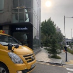 강아지 주인을 찾습니다, 말티즈, 성별모름, 나이는 잘모름, 서울특별시 강남구 까사미아 앞 횡단보도쪽 나무에 묶여있습니다에서 목격 강아지... 