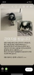 강아지를 찾습니다, 시츄, 수컷, 17살, 대구광역시 달서구 송현동 송현제림아파트 부근에서 실종 강아지를 찾습니다, 시츄, 수컷, 대구광역시... 