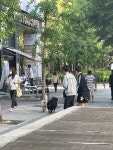 강아지 주인을 찾습니다, 기타견종, 성별모름, 나이모름, 경기도 성남시 분당구 미금역 1번출구 앞 버스정류장 부근에서 목격 강아지 주인을... 
