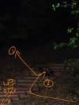 광산구 풍영로 204(스피드메이트)맞은편의 야산에서 목격 동물주인을... 광산구 광주 광산구 풍영로 204(스피드메이트)맞은편의 야산, 목격신고