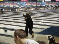The Flame Behind the Heat: Bowling Party