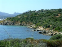 2008
