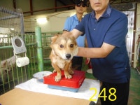 동물보호 관리시스템 모바일