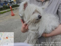 대전광역시 동물보호센터 대전동물보호센터