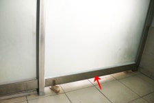 센터에세이 | 반려동물복지센터 | 동물자유연대