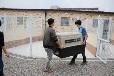 센터에세이 | 반려동물복지센터 | 동물자유연대