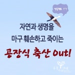 농장동물 | 주요활동 | 동물자유연대