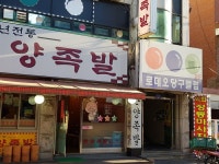 생활스포츠 : 안양시청