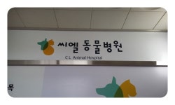 병원/약국 : 안양시청