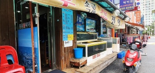 일식 : 안양시청