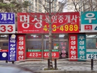 금융/보험/부동산업 : 안양시청