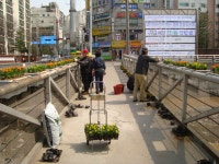         포토갤러리 : HOME > 우리동소식 > 포토갤러리