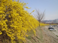         포토갤러리 : HOME > 우리동소식 > 포토갤러리