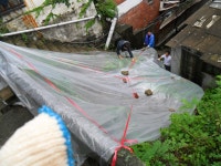         포토갤러리 : HOME > 우리동소식 > 포토갤러리