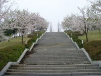         포토갤러리 : HOME > 우리동소식 > 포토갤러리