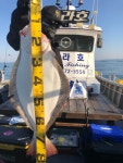 인천권조황 - 영흥도아라호 5월 13일 대광어조황올려드립니다 (내일정상출항/예약가능합니다)
