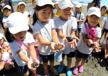 高知）子ガメを園児が放流　四万十市：朝日新聞デジタル 【写真・図版】子ガメを手に乗せてもらった園児たち＝四万十市双海