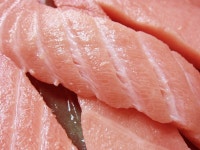 일본쇼핑 - 경매대행 구매대행 전문 재팬엔조이