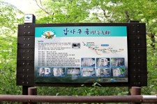 방방콕콕