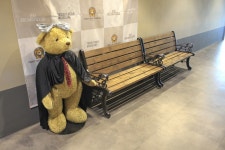 별별여행 > 군산테디베어뮤지엄 | 별별시장&별별여행 ┃ 여행문화의 새로운 트렌드를 만들다 별별여행 > 군산테디베어뮤지엄